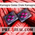 Kamagra Gelée Orale Kamagra 01